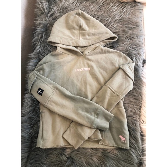 abercrombie kids Other - new abercrombie kids logo hoodie size 13/14